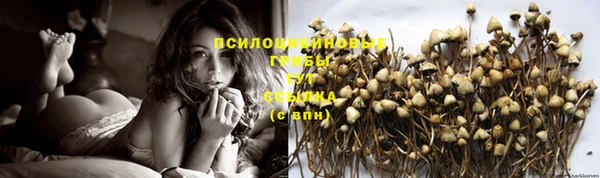 гашик Кулебаки