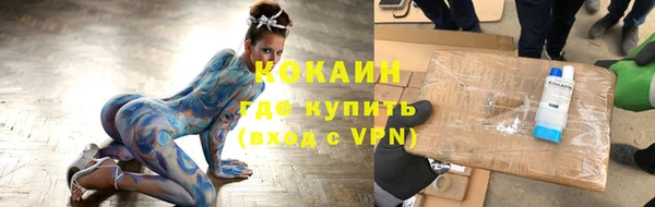гашик Кулебаки