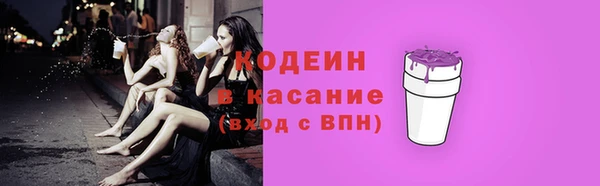 гашик Кулебаки