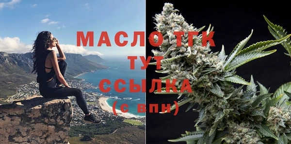 гашик Кулебаки