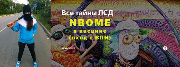 гашик Кулебаки
