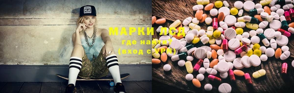 гашик Кулебаки